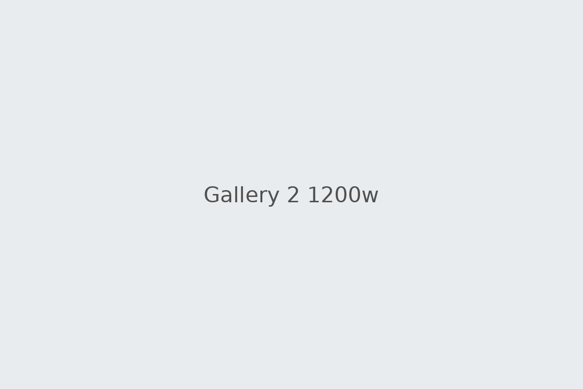 Gallery photo 2